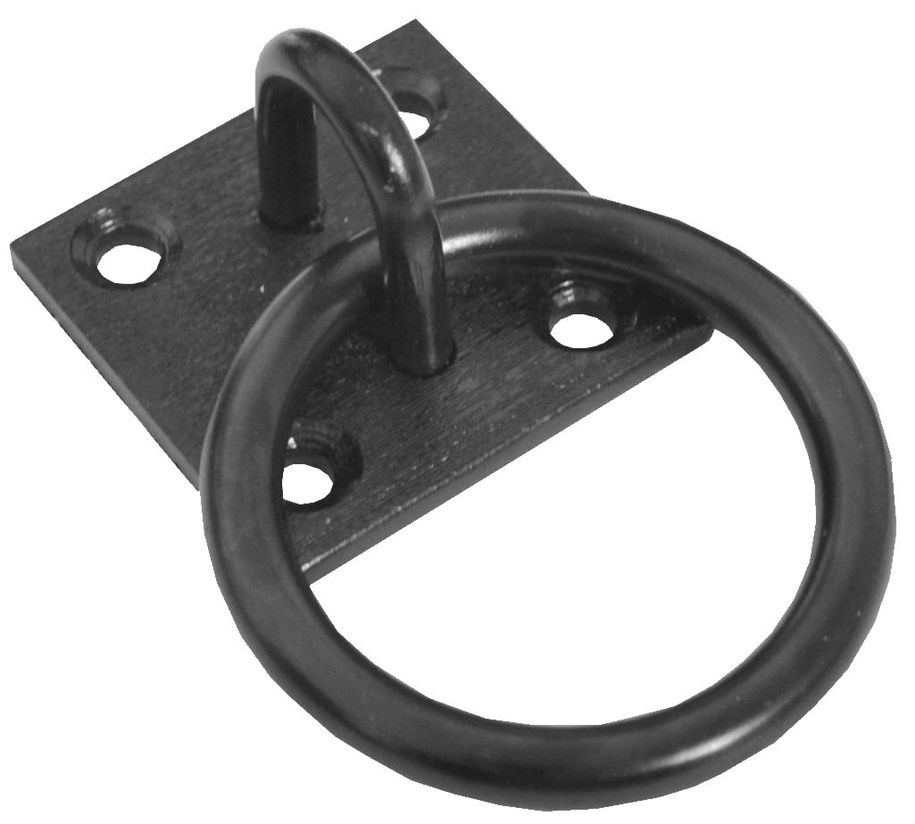Black Epoxy Coated Ring on Plate